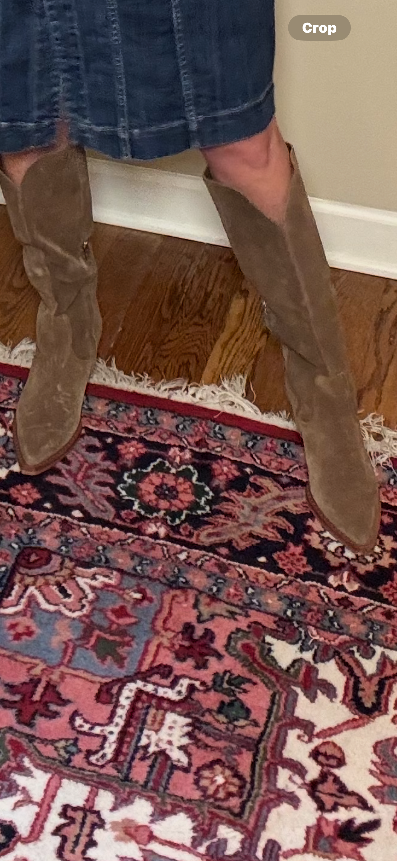 Dolce Vita Brown Suede Tall Boot