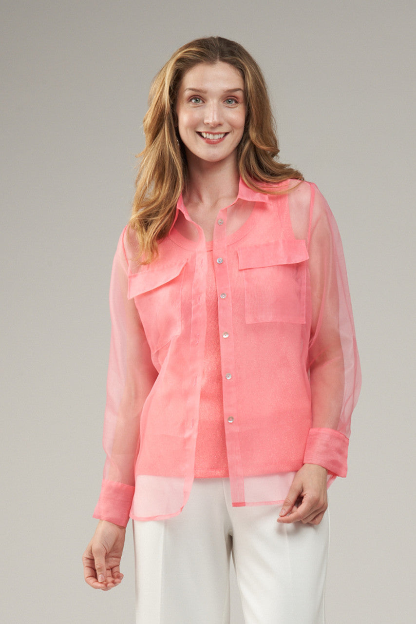 InSight Sheer Blouse